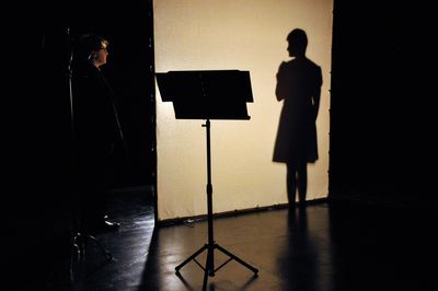 Visniec Comment j'ai dressé... jeu d'ombres 3 title=