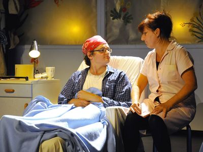 Oscar et la dame en rose 17